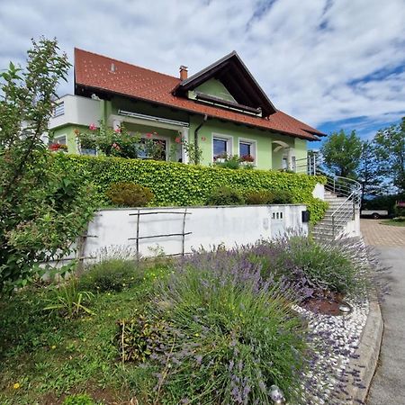 Green House Apartment Pivka Exterior photo